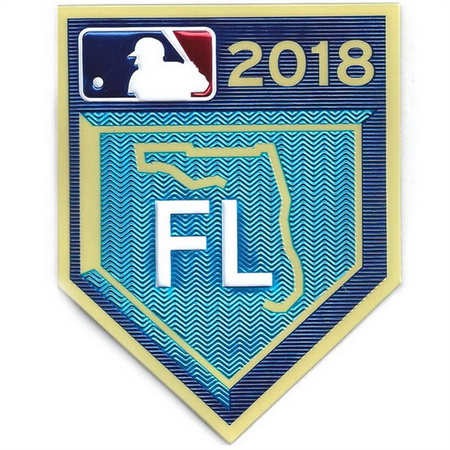 Youth 2018 Grapefruit League Spring Training TPU EmbossTech Jersey Patch Biaog